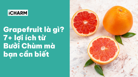 Grapefuit là gì? 7+ lợi ích từ bưởi chùm