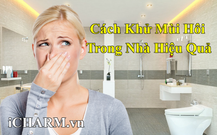 Cách Khử Mùi Hôi Trong Nhà Hiệu Quả Bằng Tinh Dầu