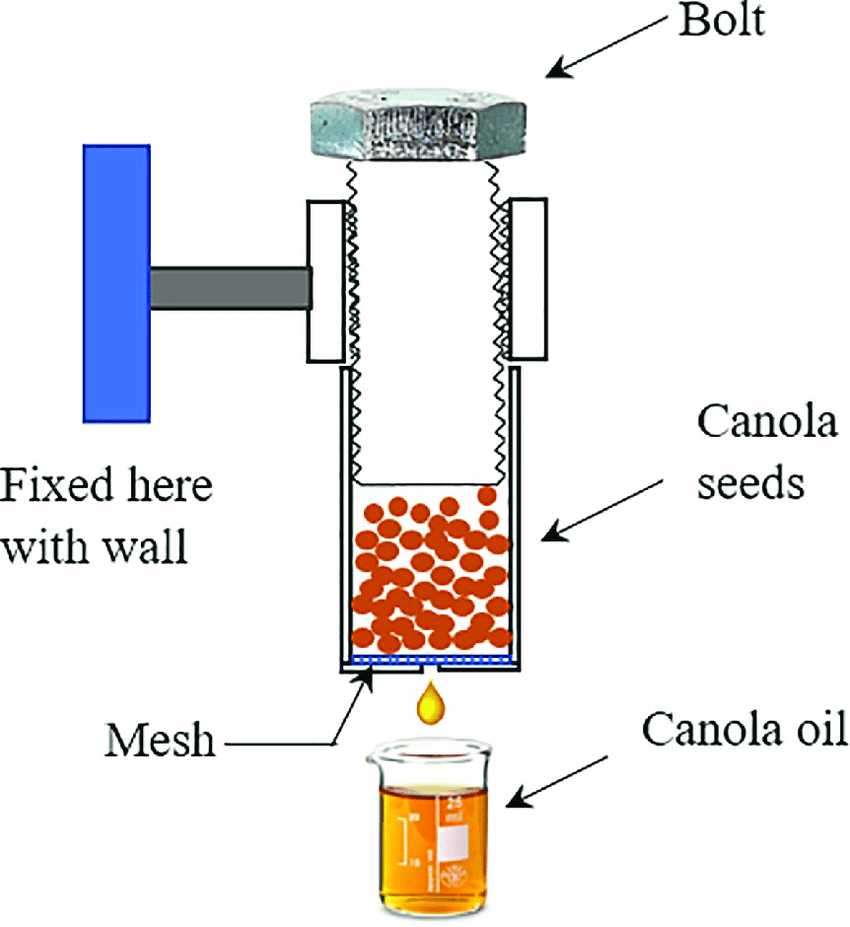 Chiết xuất tinh dầu bằng phương pháp ép lạnh.