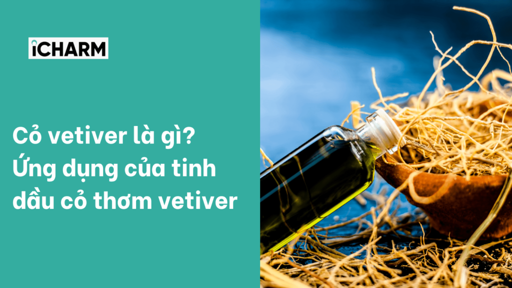 Cỏ vetiver là gì?