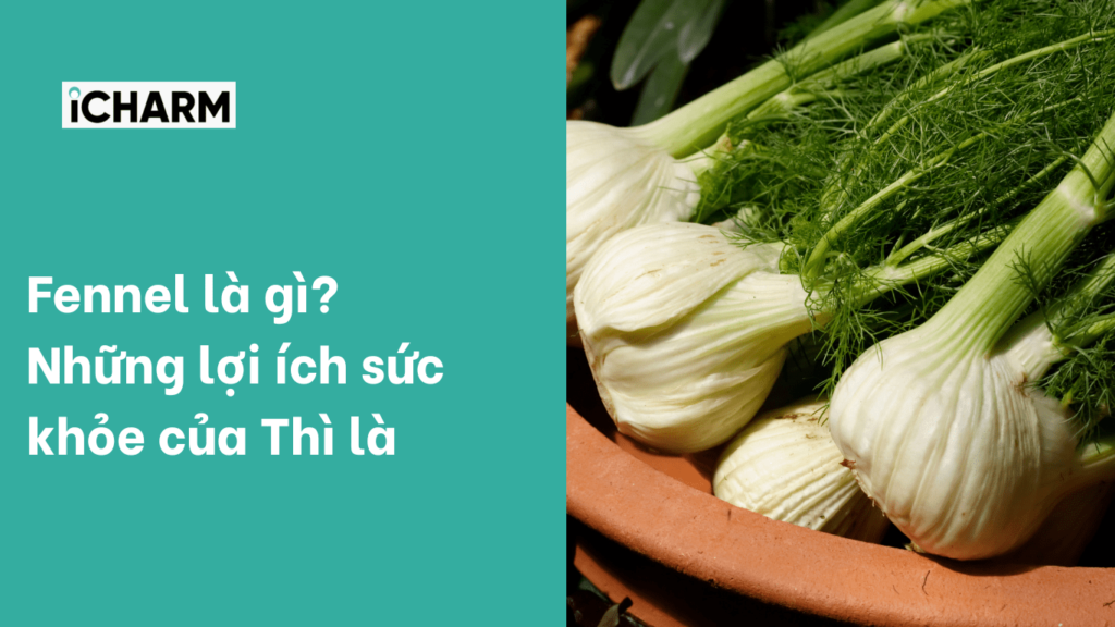 Fennel là gì?