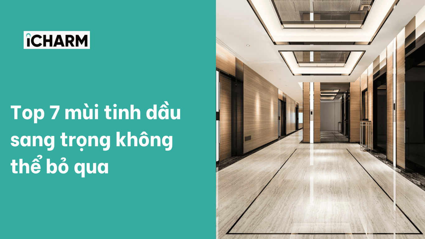 Top 7 mùi tinh dầu sang trọng không thể bỏ qua | iCHARM
