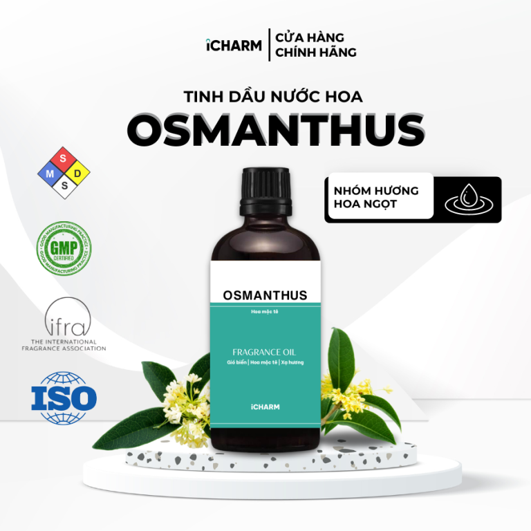 Tinh dầu nước hoa Osmanthus (Hoa Mộc Tê)