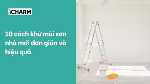 10 cách khử mùi sơn nhà mới đơn giản và hiệu quả