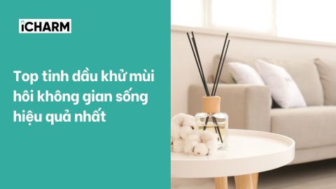 Top tinh dầu khử mùi hôi không gian sống hiệu quả nhất