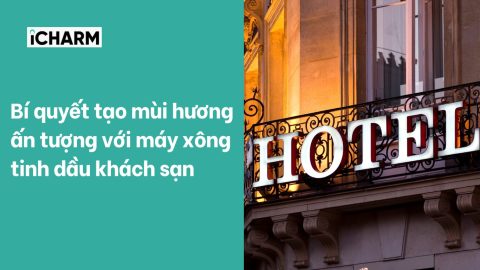 Bí quyết tạo mùi hương ấn tượng với máy xông tinh dầu khách sạn