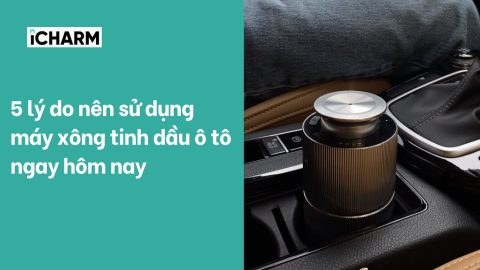 5 lý do nên sử dụng máy xông tinh dầu ô tô ngay hôm nay
