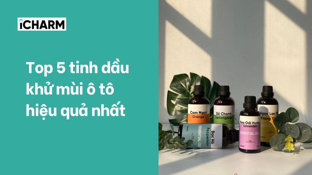 Top 6 tinh dầu khử mùi ô tô hiệu quả nhất