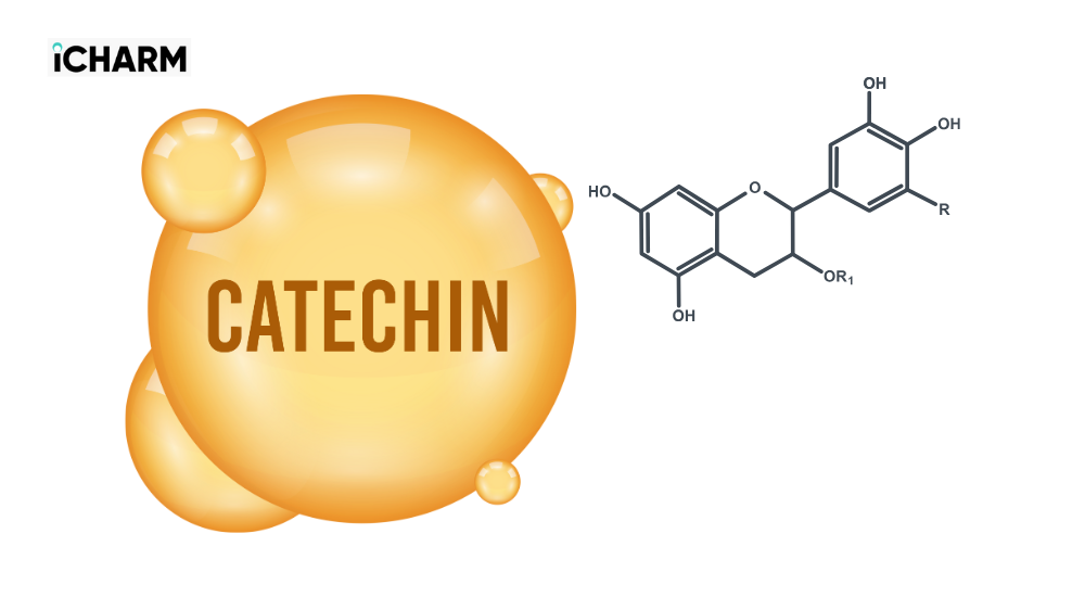 Cấu trúc catechin