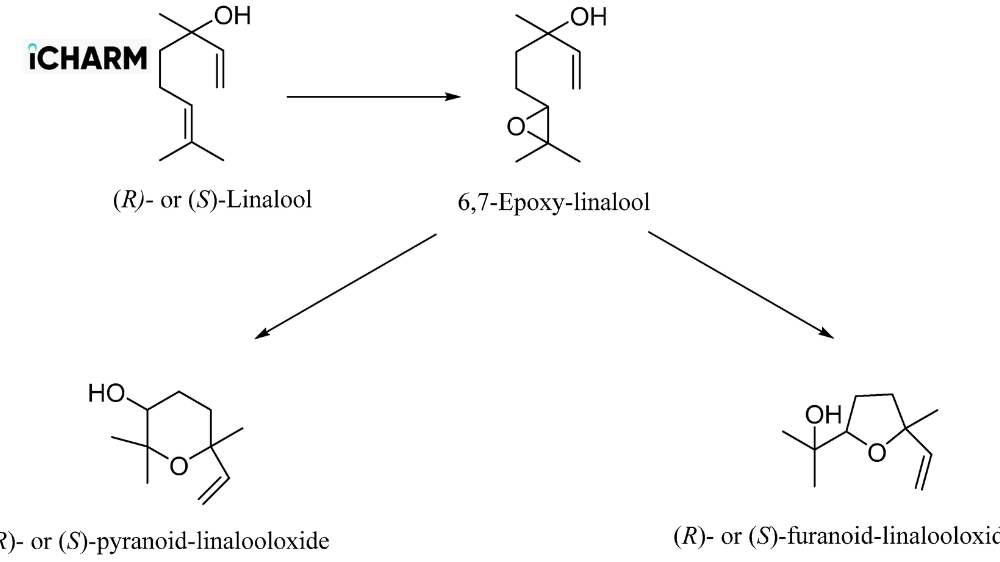 Cấu trúc linalool