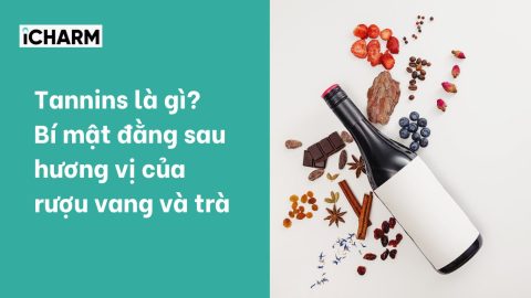 Tannins là gì? Bí mật đằng sau hương vị của rượu vang và trà