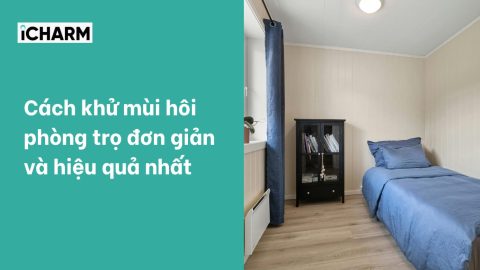 Cách khử mùi hôi phòng trọ đơn giản và hiệu quả nhất