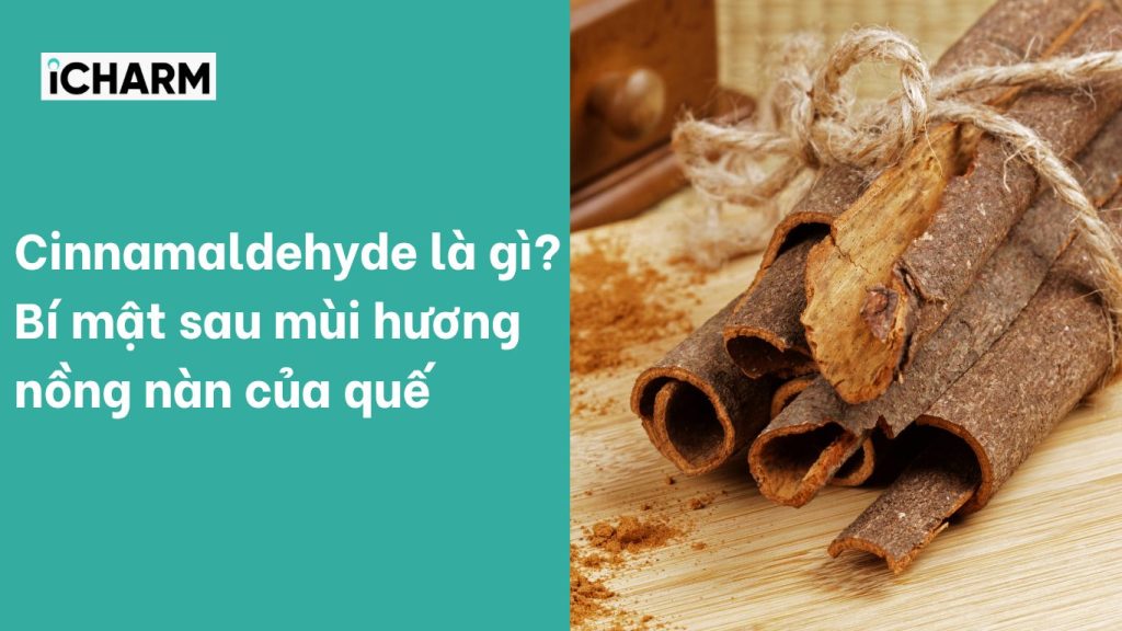 Cinnamaldehyde là gì? Bí mật sau mùi hương nồng nàn của quế