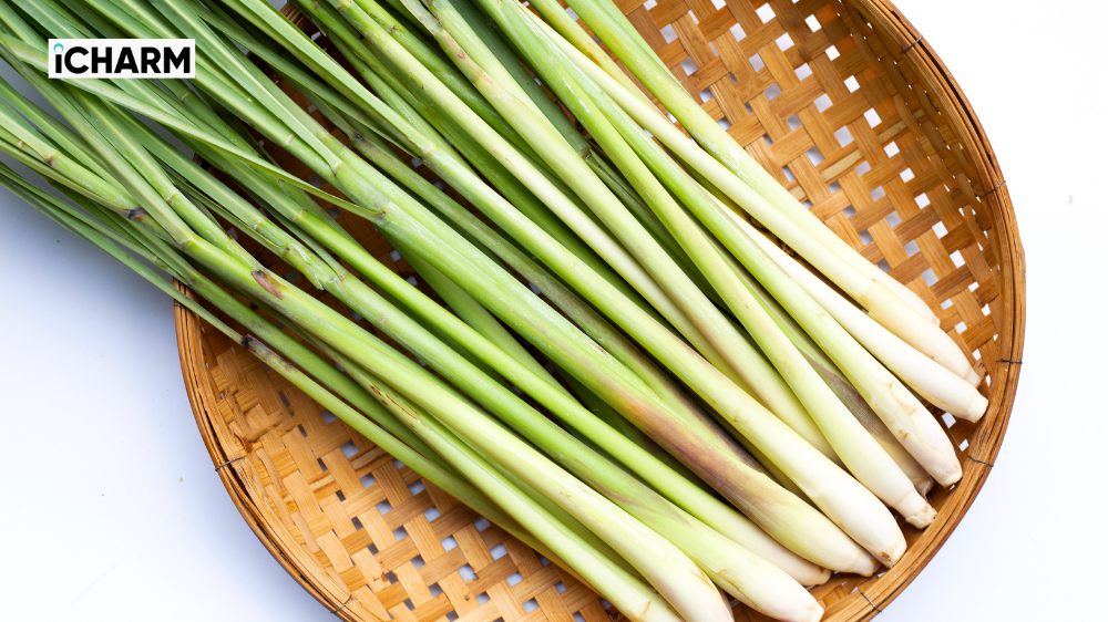 Citronellol là gì?