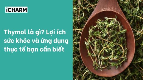 Thymol là gì? Lợi ích sức khỏe và ứng dụng thực tế bạn cần biết