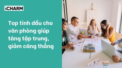 Top tinh dầu cho văn phòng giúp tăng tập trung, giảm căng thẳng