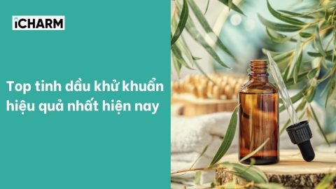Top tinh dầu khử khuẩn hiệu quả nhất hiện nay