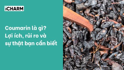 Coumarin là gì? Lợi ích, rủi ro và sự thật bạn cần biết
