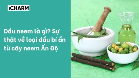 Dầu neem là gì? Sự thật về loại dầu bí ẩn từ cây neem Ấn Độ
