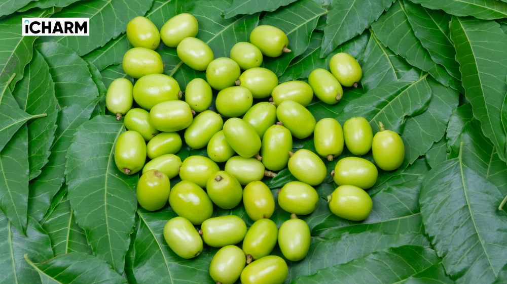 Hạt neem