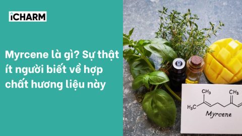 Myrcene là gì? Sự thật ít người biết về hợp chất hương liệu này