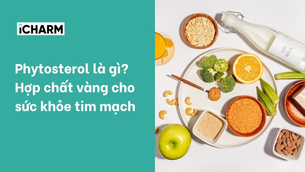 Phytosterol là gì? Hợp chất vàng cho sức khỏe tim mạch