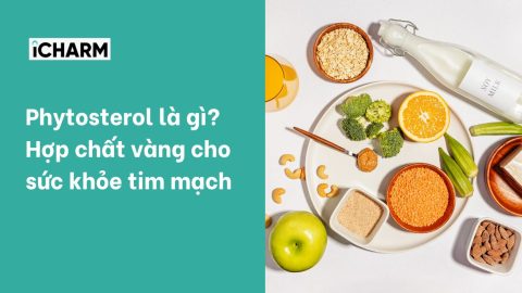 Phytosterol là gì? Hợp chất vàng cho sức khỏe tim mạch