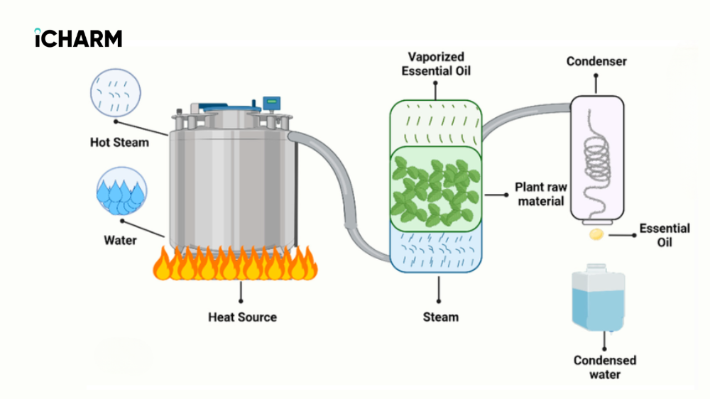 Phương pháp chưng cất hơi nước (Steam Distillation)