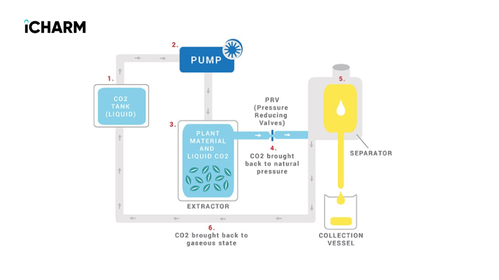 Phương pháp CO₂ siêu tới hạn (Supercritical CO₂ Extraction)
