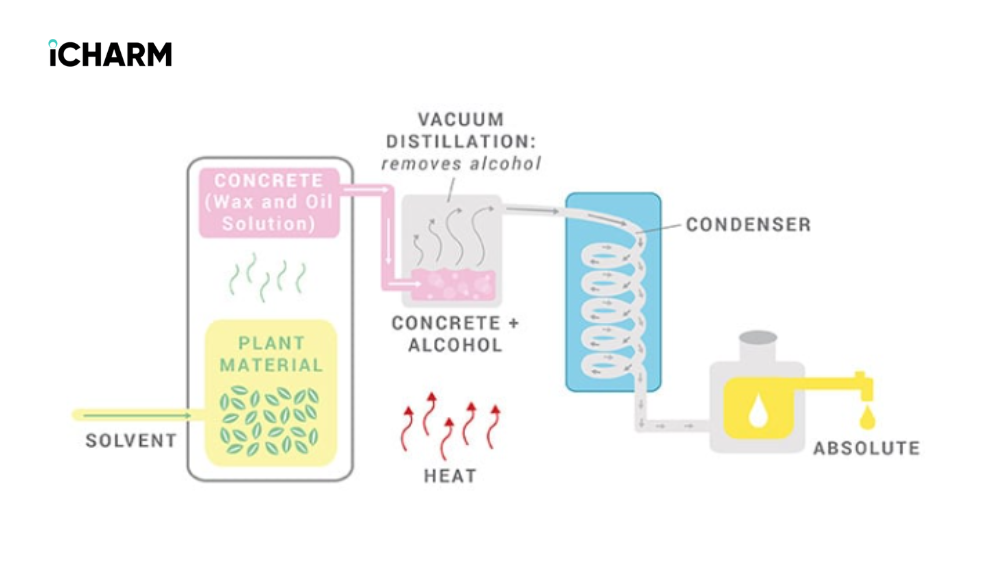 Phương pháp dùng dung môi (Solvent Extraction)