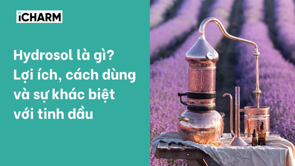 Hydrosol là gì? Lợi ích, cách dùng và sự khác biệt với tinh dầu