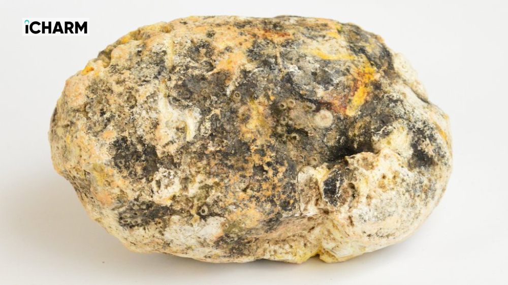 Mùi hương của long diên hương