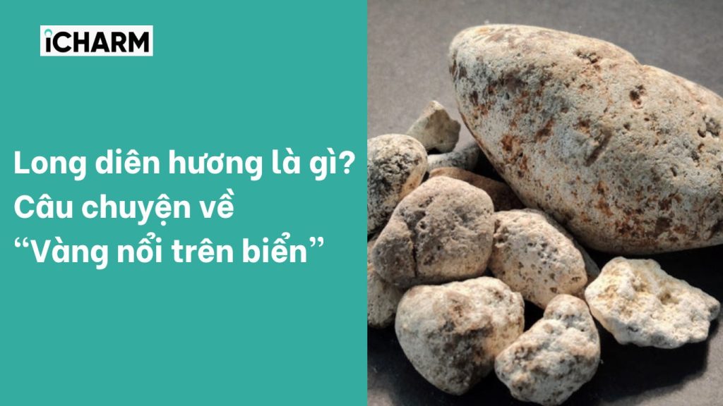 Long diên hương là gì? Câu chuyện về "Vàng nổi trên biển"