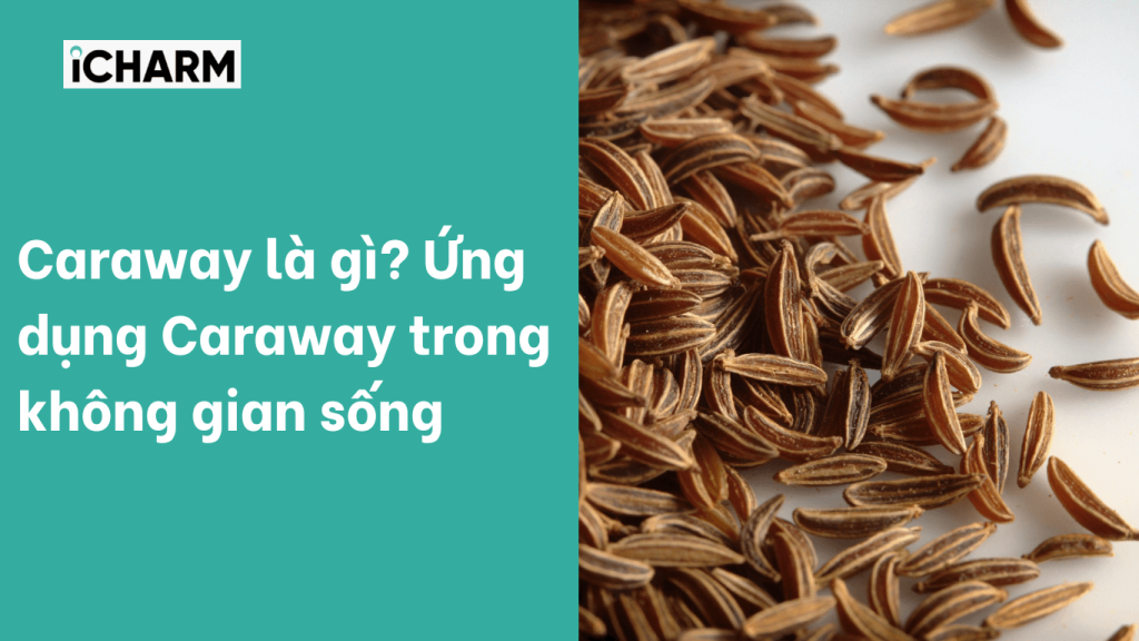 Caraway là gì?