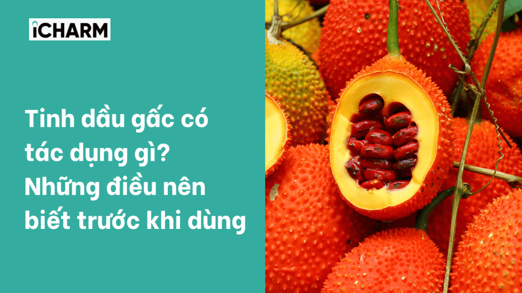 Tinh dầu gấc