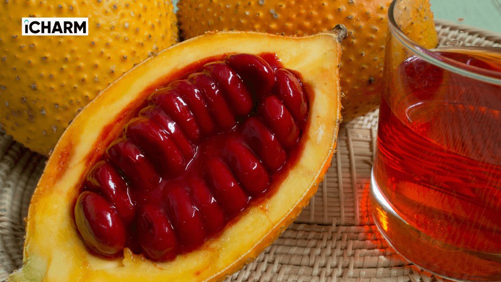 Tinh dầu gấc là gì?