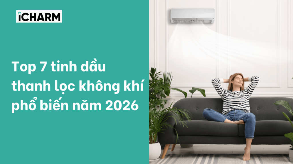 Top 7 tinh dầu thanh lọc không khí